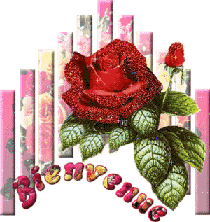 Gif animé bienvenue roses rouges